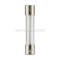 250V 6X30MM Fast Blow Fuse